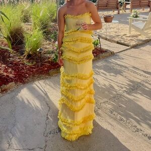 Alexis Reeve Fringe-trimmed Gown